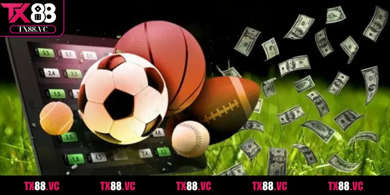 Khái quát về sảnh Thể thao IM là gì?