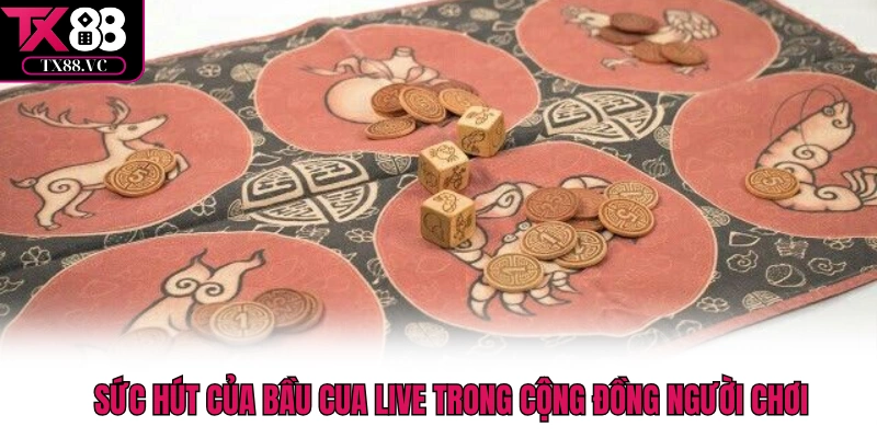 Sức hút của bầu cua live trong cộng đồng người chơi